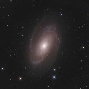 Bode's Nebel - M81 (NGC 3031)