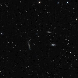 Leo Triplett mit 400mm Tele