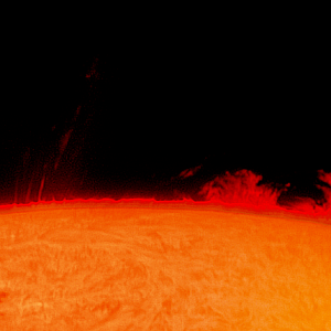 Protuberanzen vom 19 April 2017 von Sonnenfleck 2651 um 11-09 MESZ (1).png