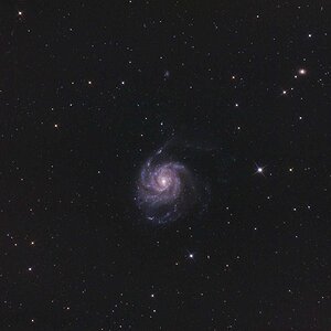 nach längerer Auszeit M101
