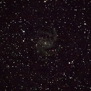 NGC 6946 + Supernova 2017eaw