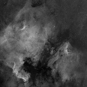 Preview NGC 7000 / IC 5070