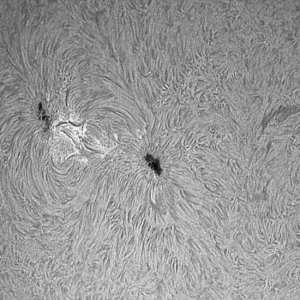 AR 12674 am 01.09.17 in H-alpha