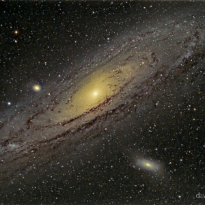 M 31