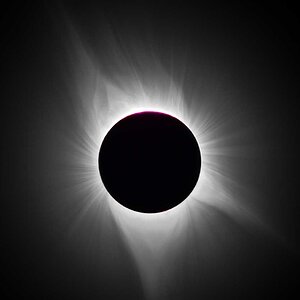 Corona_Composite2_Web.jpg