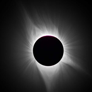 Corona_Structure2_Web.jpg