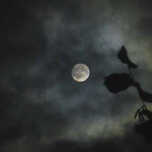 Mond031117Final.jpg