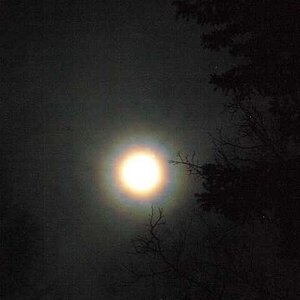 Supermond durch Altocumuluswolken