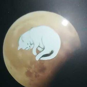 Abschieds- Mond