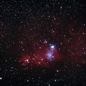 Es Weihnachtet verspätet! NGC2264