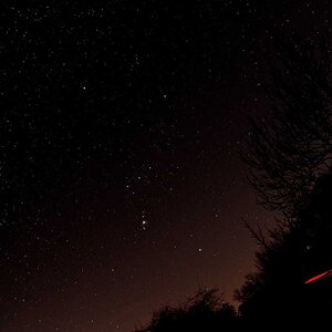 D71_5104.jpg