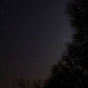 D71_5114.jpg
