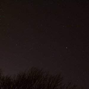 D71_5141.jpg