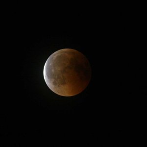180727_Mofi_01.jpg
