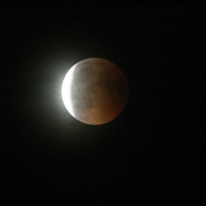 180727_Mofi_02.jpg