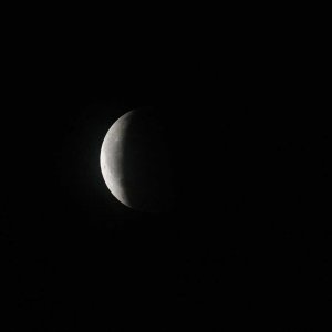 180727_Mofi_03.jpg