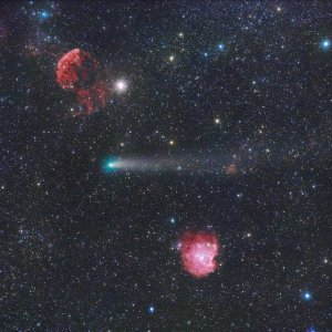 21P bei NGC 2174 und IC443