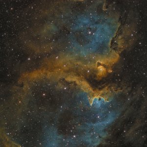 IC1848b.jpg