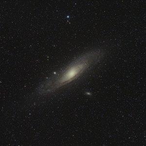 M31