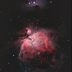 M 42