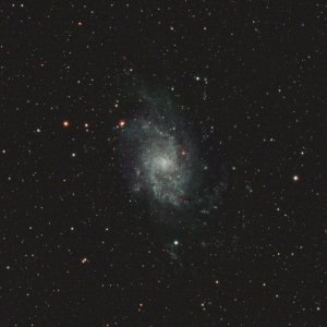 M 33