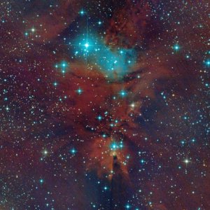 NGC 2264 und Konusnebel mit IDAS V4-Filter