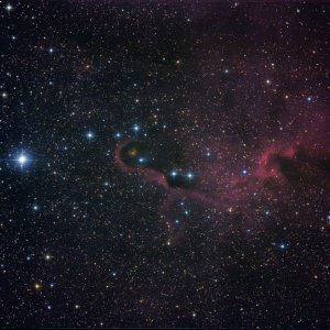 IC 1396A - Elephant Trunk Nebula