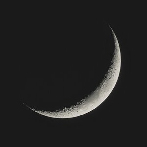 Mond 26.04.20 - 03.jpg
