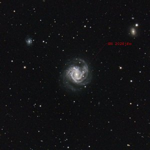 M 61 + SN 2020jfo