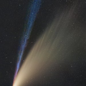 Ionenschweif Neowise