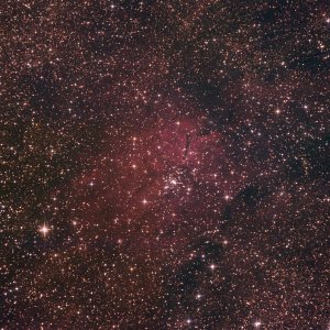NGC 6823 im Sternbild Fuchs (zweiter Bearbeitungsversuch)