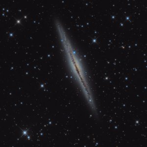 NGC891