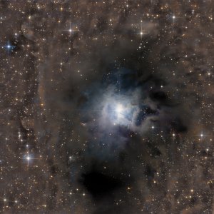 NGC7023-UNC10-G2-8300-FW-PeterKnappert.jpg