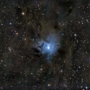 Irisnebel