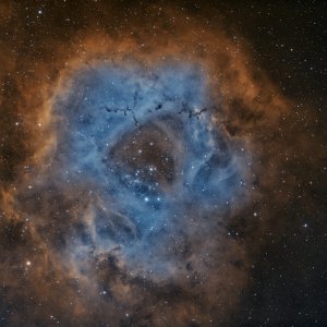 BiColor bei Vollmond