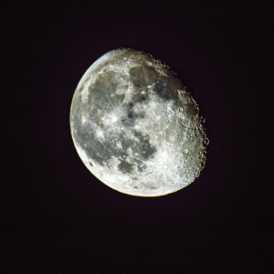 70%Mond