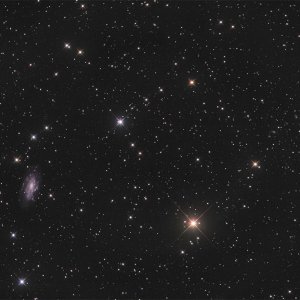 NGC 2541 und Galaxienhaufen Abell 626 im Luchs