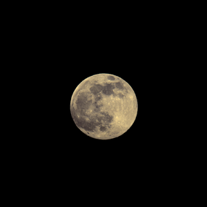DSC_1395.PNG