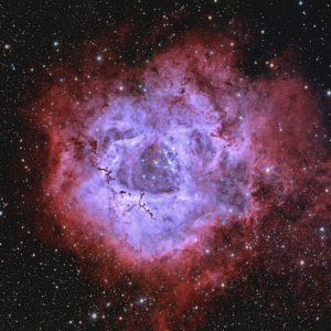 Rosettennebel NGC2244_Bicolor_RGB.jpg