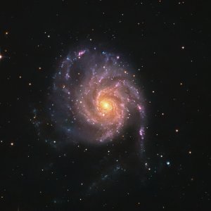 M101 mit QHY485C