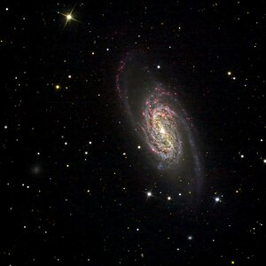 NGC 2903 in H-Alpha und Kontinuum-Licht