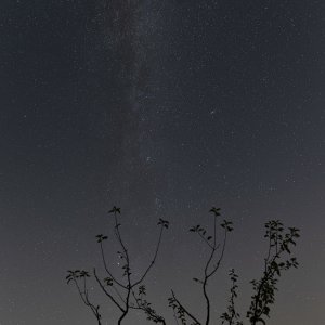 Landschaftsfotografie für Faule