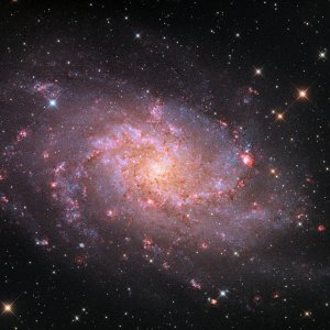 M33