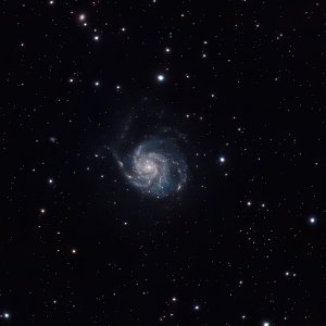 M101