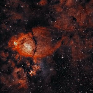 Fishhead Nebula BiColor