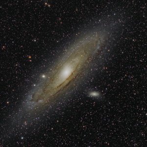 M31