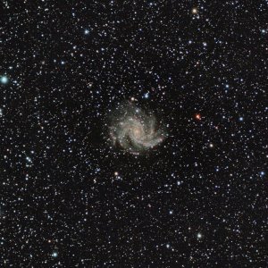NGC 6946 - Feuerwerksgalaxie