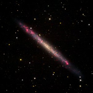 NGC 4244  in H-Alpha und Kontinuum-Licht