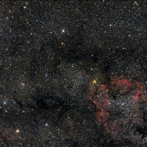 IC 1396 Umfeld  mit " Black Fish"