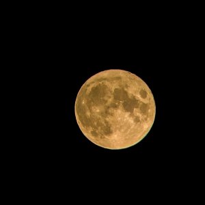 Mond